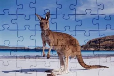 FaraÃ³n jigsaw puzzle