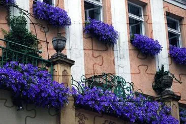 Purple Balcony and Window Sills