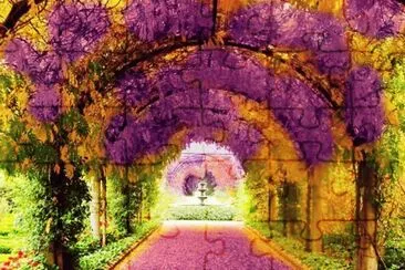 Passionate Feeling Walkway