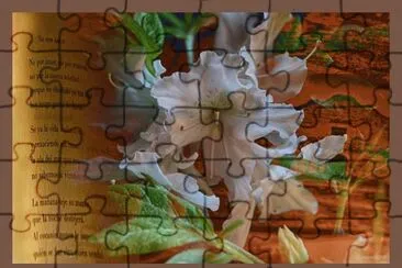 foto jigsaw puzzle