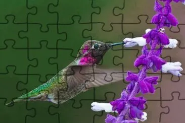 ImÃ¡genes jigsaw puzzle