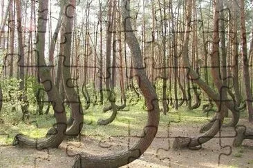 פאזל של kneeling trees