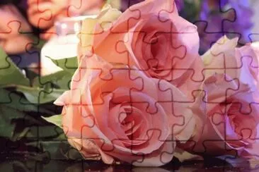 Rosas rosas jigsaw puzzle