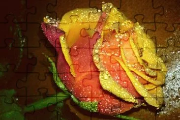 Rosa naranja dorada jigsaw puzzle