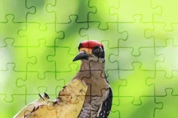 ImÃ¡genes jigsaw puzzle