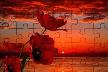 ImÃ¡genes jigsaw puzzle