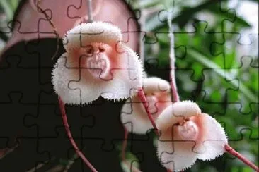 ImÃ¡genes jigsaw puzzle