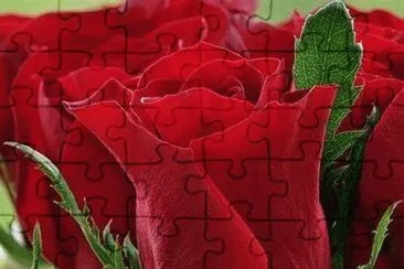 Rosa Vermelha jigsaw puzzle