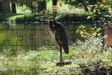 Heron jigsaw puzzle