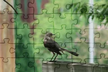 Mocking Bird jigsaw puzzle