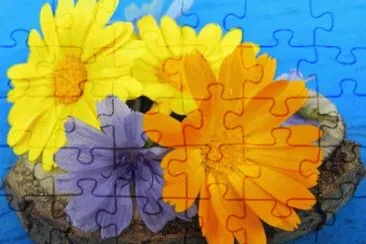 image jigsaw puzzle