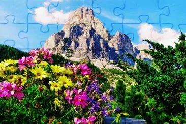 60 jigsaw puzzle