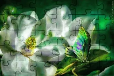 100 jigsaw puzzle