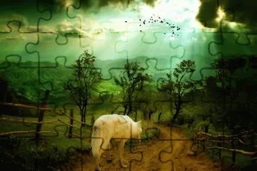 49 jigsaw puzzle