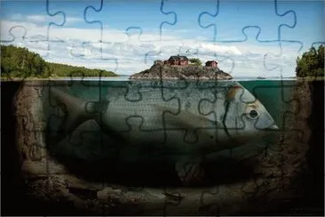  jigsaw puzzle