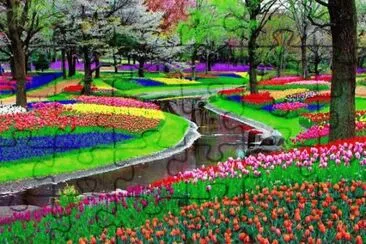 Jardim de Keukenhof, Amsterdam - Holanda jigsaw puzzle