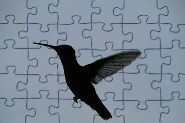 Hummer Silhouette jigsaw puzzle