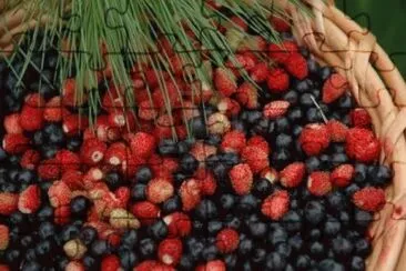 Acai Berries-Great for Weight Loss jigsaw puzzle