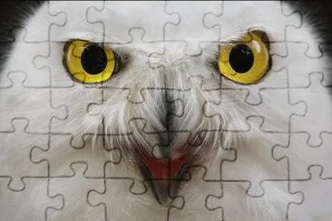 . jigsaw puzzle