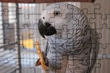 . jigsaw puzzle