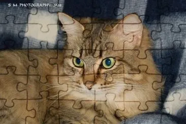 Precious jigsaw puzzle