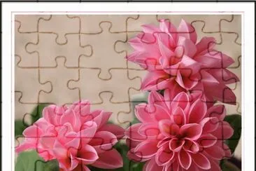 flores jigsaw puzzle