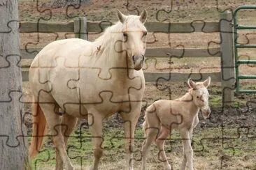 Mom and Newborn jigsaw puzzle