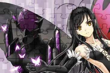 פאזל של Accel world