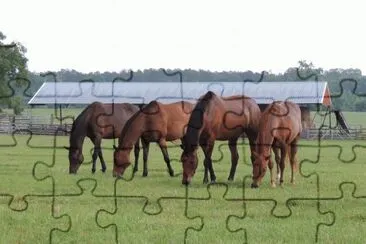 Four in a Row jigsaw puzzle