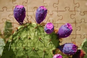 Prickly Purple Pear jigsaw puzzle