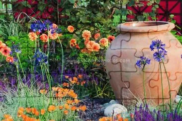 Orange and Purple Garden