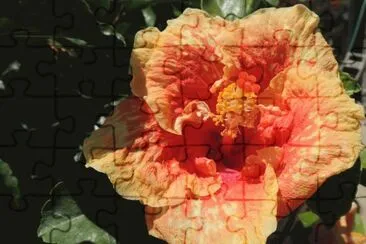 Flower jigsaw puzzle