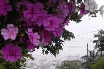 cenÃ¡rio - MaringÃ¡-Brasil