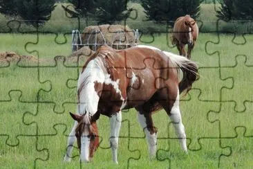 Beautiful Paint jigsaw puzzle