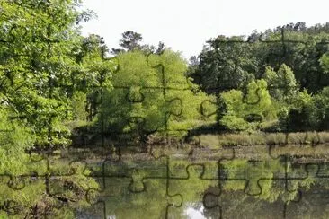 Weeping Willow Reflection jigsaw puzzle