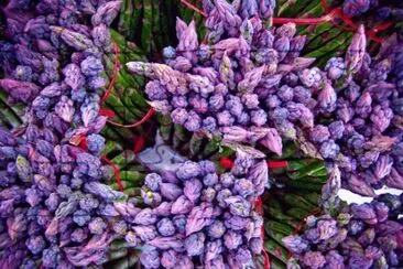 Purple Asparagus Bundles jigsaw puzzle