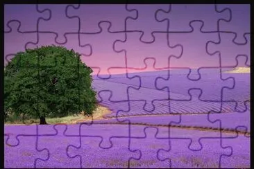 Lavender Farm-Art jigsaw puzzle