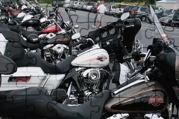 A Biker Gathering