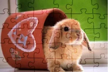 un conejito muy mimado jigsaw puzzle