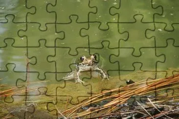 Just Hanging On jigsaw puzzle