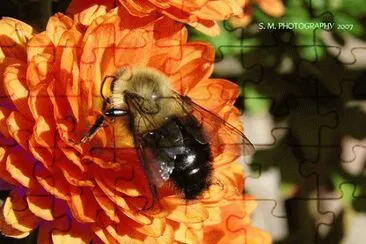 Mum and Bumble Bee jigsaw puzzle