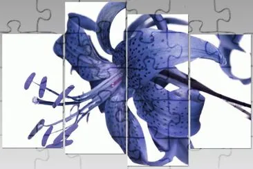 Tiger Lily Wall Art jigsaw puzzle