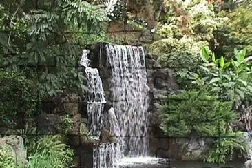 Mayberg Water Falls-LA Abortrtum Botanic Gardens