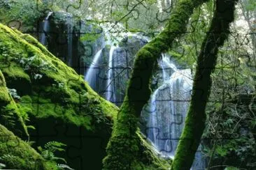 Mt Tamalpais Water Fall-Marin County