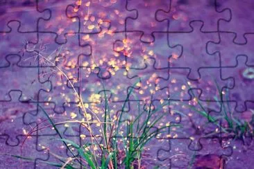 Colorful Rain-Fine Art Photography jigsaw puzzle