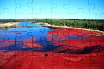 Cranberry bog