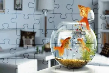 pescera jigsaw puzzle