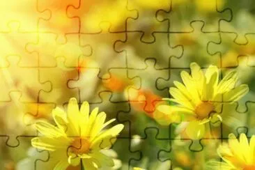 puzzle jigsaw puzzle