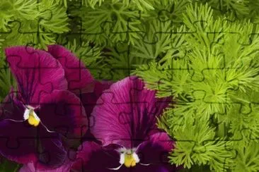 flores jigsaw puzzle