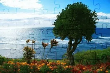 paisagem jigsaw puzzle